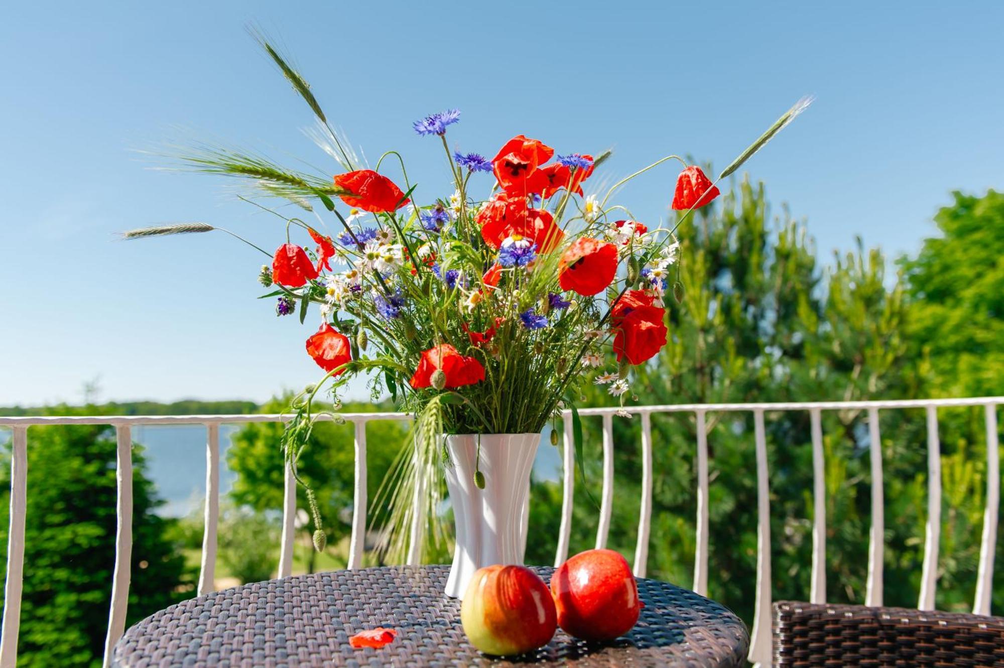 Selliner Ferienappartements Mit Balkon Und Seeblick Exteriör bild